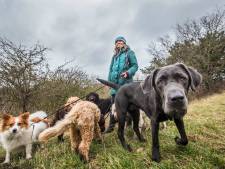 Hondenpoep funest voor natuur, maar wat kunnen baasjes eraan doen? ‘Daar is dit gebied toch voor?’