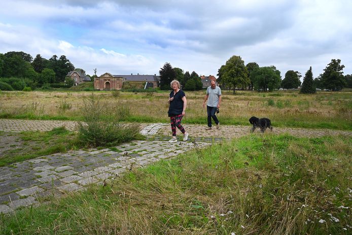 Geef de natuur vrij spel, stelt de Milieuvereniging Land van Cuijk voor.