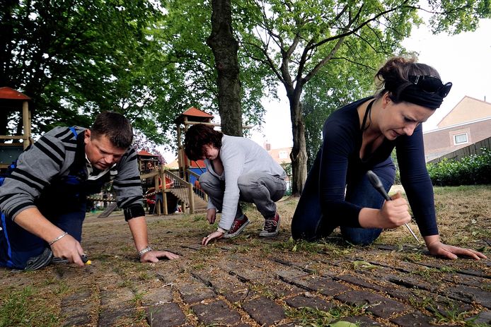 In 2011 hielpen medewerkers van Aramis (thans: Alwel) bij het opknappen van de speeltuin aan het Beatrixplein. Onkruid wieden hoort daar ook bij.