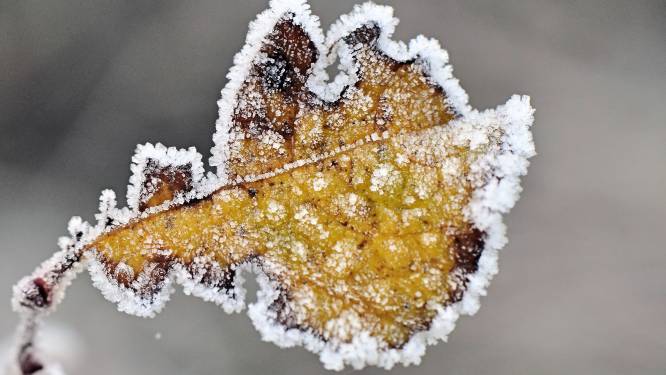 Later dan normaal, maar eerste officiële vorst van de herfst gemeten