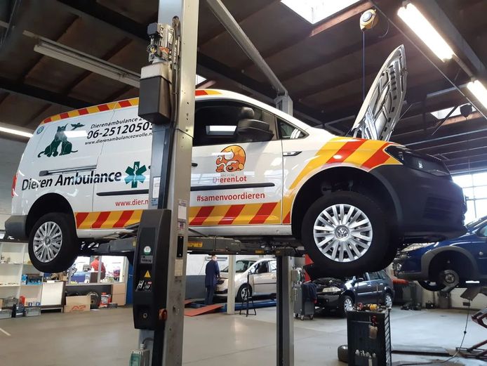 Een aangereden kat in de Zwolse wijk Assendorp verstopte dinsdagmiddag zich in het motorblok van de dierenambulance.