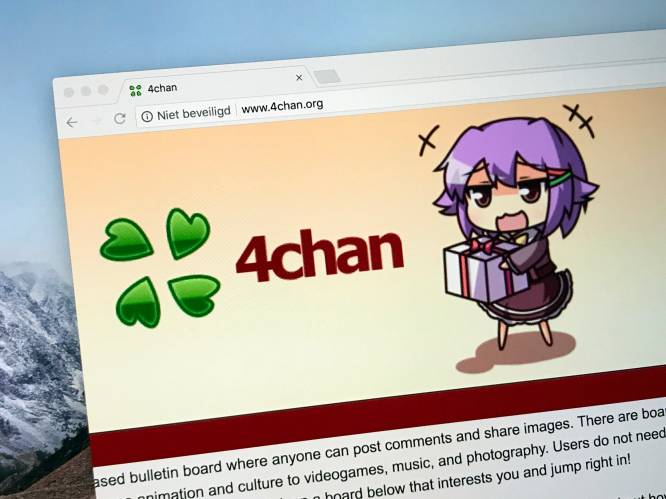 4chan: het internetforum waar extremisten uit ons land gelijkgezinden uit de hele wereld treffen