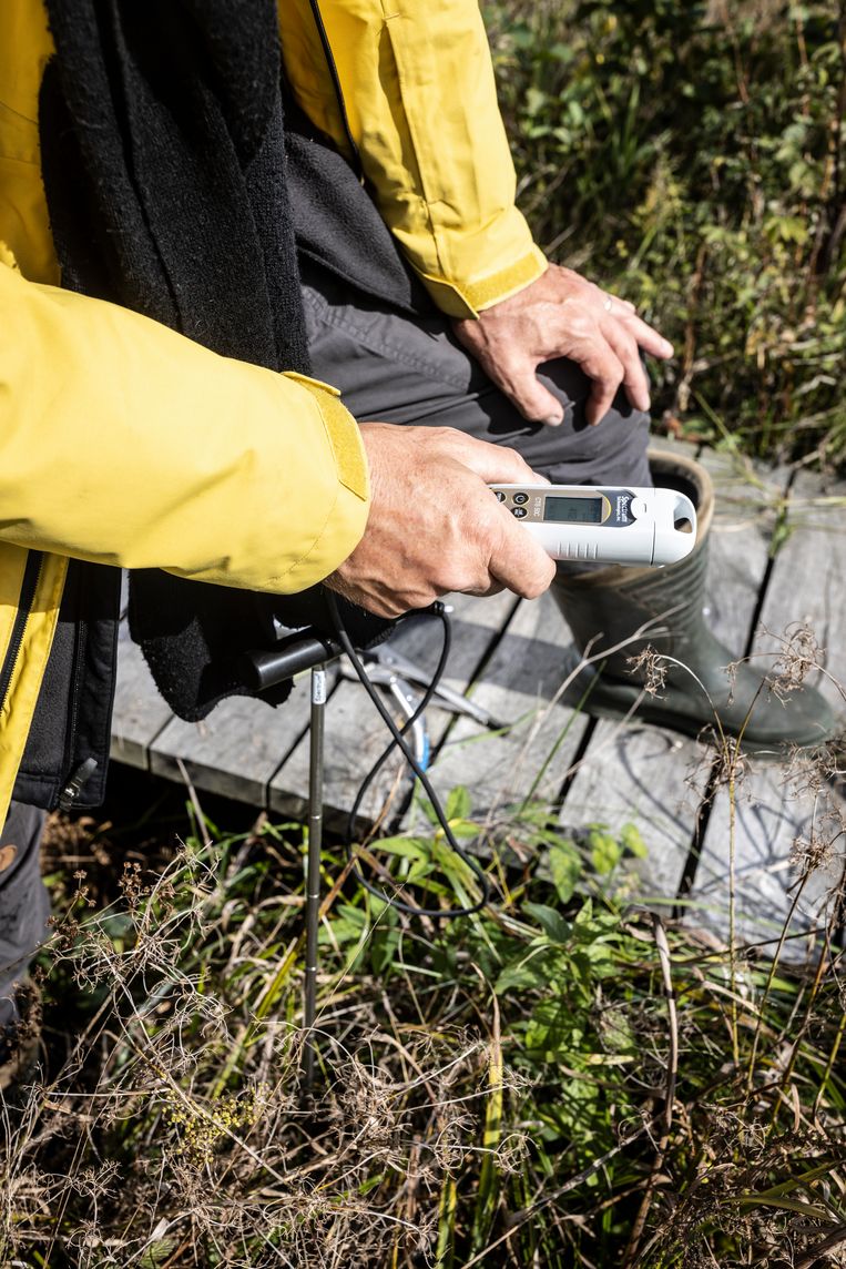 Gooi Zeehaven zwak Wetenschappers gaan ervan uit dat we in de zesde uitstervingsgolf zitten'