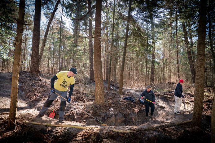 Renderen Adviseren Wrok Raadslid is verbaasd over mtb-route in 'zijn' oerbos en vraagt gemeente  Arnhem om uitleg | Arnhem e.o. | gelderlander.nl