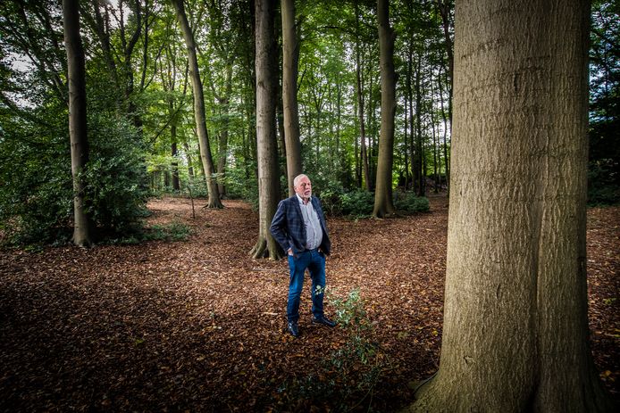 Hengeloër Koos van Merksteijn tussen de bomen. Snelgroeiende empressbomen helpen Nederland uit de CO2-crisis, hij is ervan overtuigd.