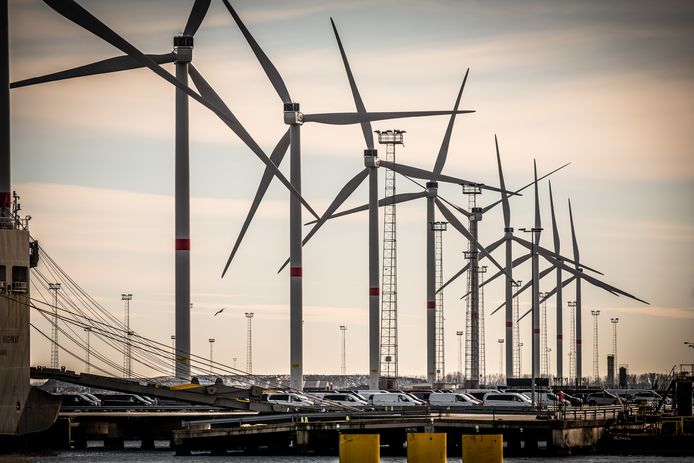 Windmolens in de haven van Zeebrugge. Door grote hernieuwbare energieproductie gingen de stroomprijzen op de groothandelsmarkt dit weekend een tijdlang onder nul.