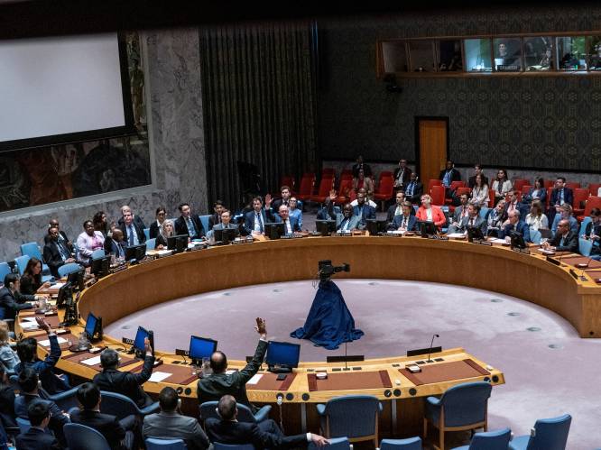 VN-Veiligheidsraad kiest vijf nieuwe lidstaten
