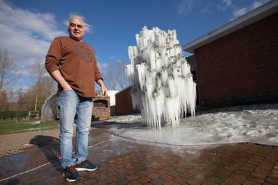Betoverend mooi! Hulstboom verandert in ijssculptuur met honderden pegeltjes