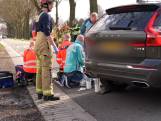 Hondje gaat naast baasje zitten na dodelijk ongeluk in Deurne