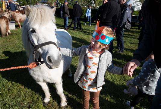 Paadenspektakel in Winterswijk met pony's en paarden.