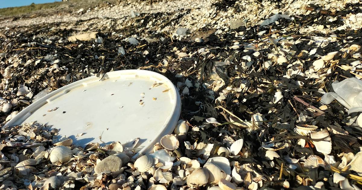 Een vieze bende! Dat vonden onderzoekers bij Hoofdplaat en Borssele