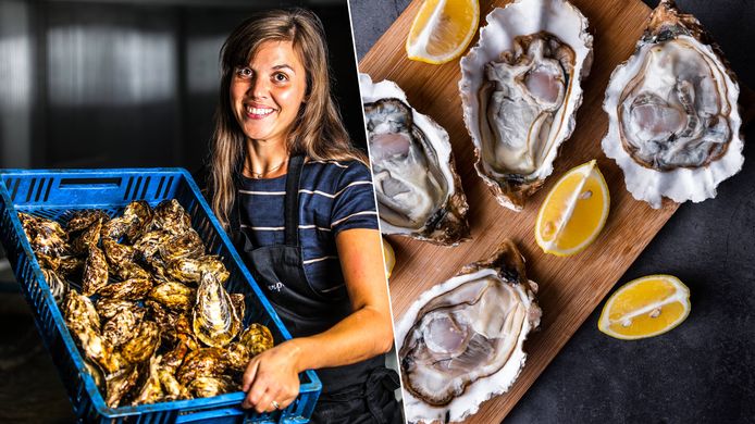 Kim Puystjens van De Oesterput weet wanneer oesters op hun best zijn.