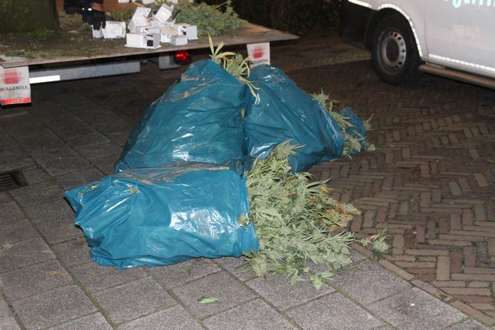 De politie is een hennepplantage binnengevallen.