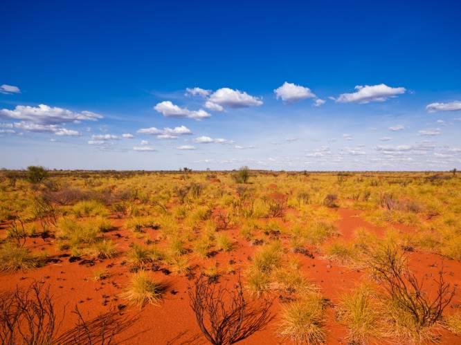 Puffen en zweten in West-Australië met recordtemperaturen van meer dan 50 graden