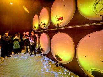 “Virtueel bezoek aan onze ondergrondse bierpijpleiding”: zo dompelt De Halve Maan in Brugge je onder in wondere wereld van brouwerij