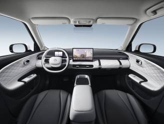 Schattige en ruime elektrische nieuwkomer overtuigt ondanks lage verkoopprijs