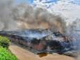 Bij een brand in een varkensstal in Reusel kwamen 3.000 varkens om het leven.