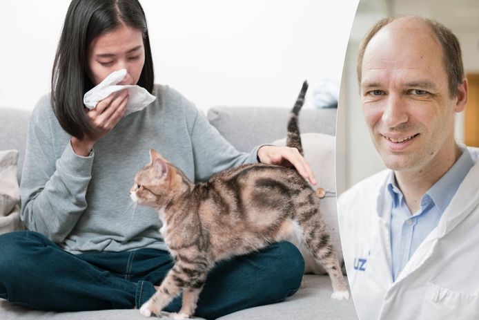 Neus-keel-oorarts Prof. dr. Philippe Gevaert  (UZ Gent) legt uit wat je best doet als je allergisch bent voor honden of katten.