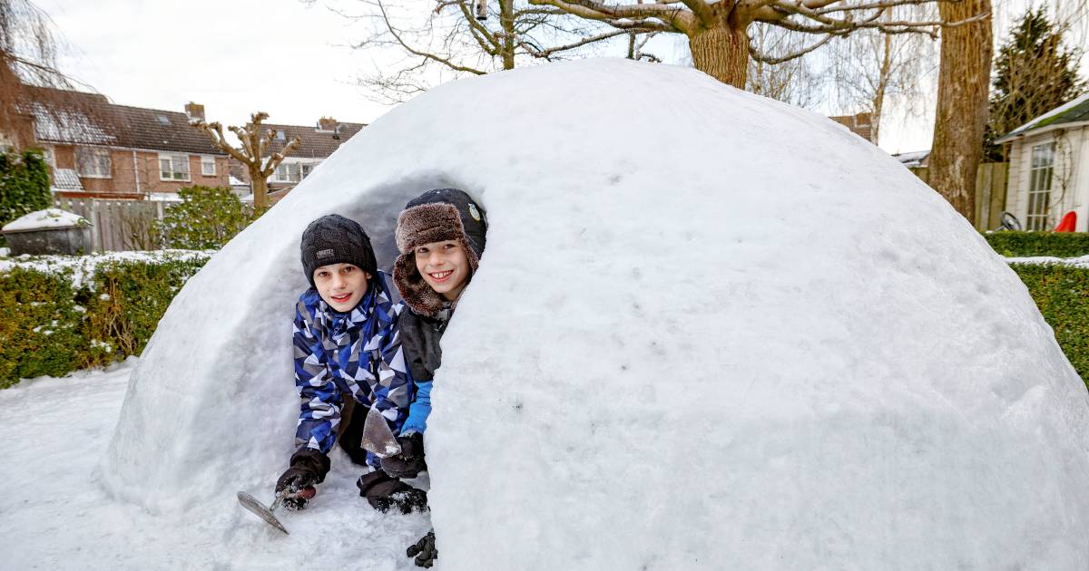Weten hoe je een iglo bouwt? Vraag het Siem en Wout! Waalwijk AD.nl