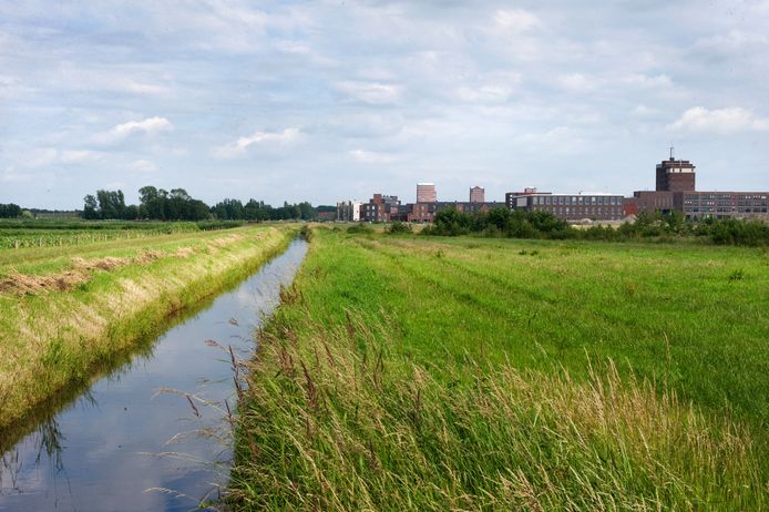 Vathorst-Noord, de plek waar een zonneveld is gepland.