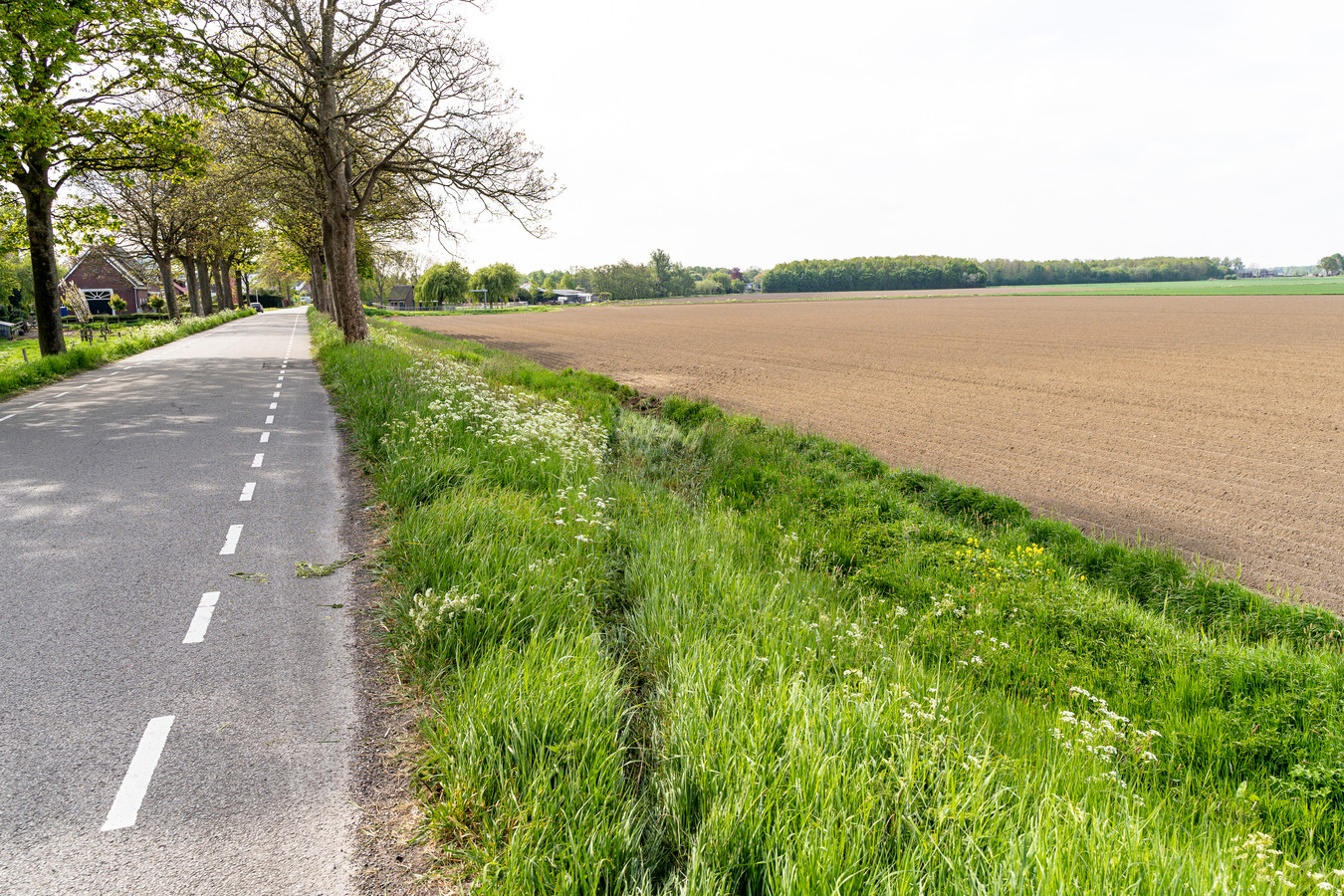 Jongen (17) overleden bij ongeluk in Oud Gastel, drie inzittenden (16