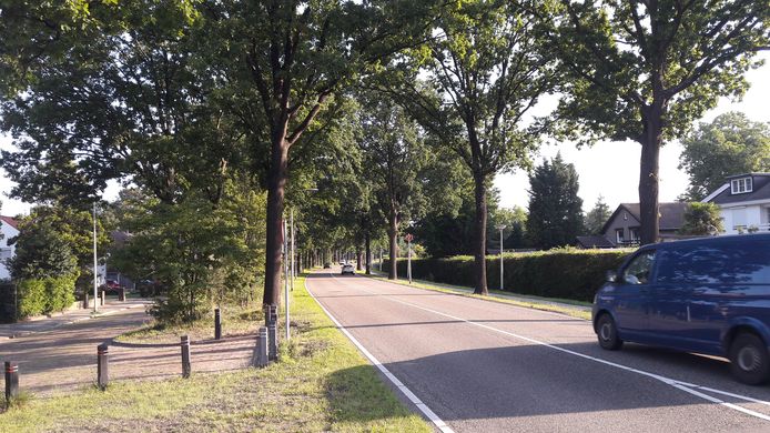 Verkeer op de Steenbergseweg in Halsteren zorgt voor groeiende geluidsoverlast, zo stellen bewoners van de Parallelweg (links) en Eenlandsweg (rechts) van de doorgaande route. Ze zijn een petitie gestart