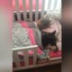 Filmpje | Baasje vindt vermiste hond terug in bed bij dochter