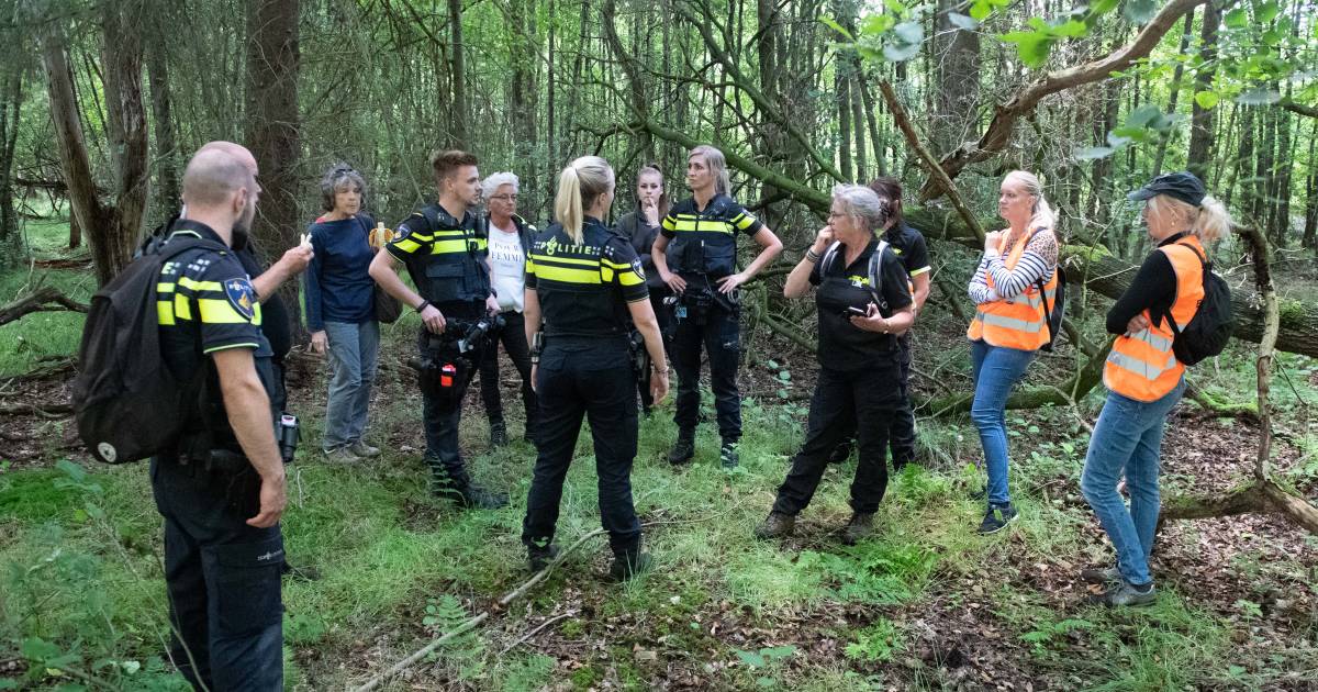 loes 73 uit eibergen is al bijna een jaar vermist zoektocht gaat door we willen haar vinden enschede gelderlander nl