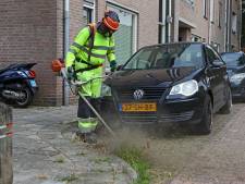 ‘Onkruid? Wen in Gorinchem maar aan het idee dat het er altijd zal staan’