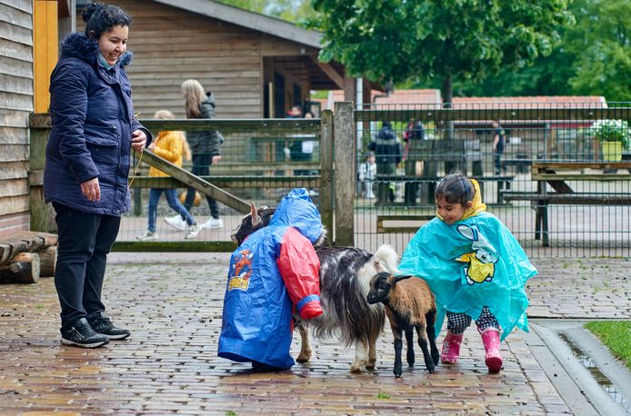 Yaren en Ozan Yildirim genieten van de geitjes bij de heropende kinderboerderij De Elzenhoek.