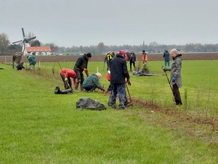 Vrijwilligers planten bomen en struiken als start van een nieuw voedselpark in Millingen.