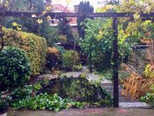 ‘Groene vingers? Nee! Ik wil vooral van de tuin genieten’