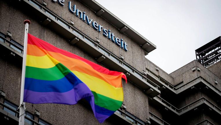 Sinds eind jaren zeventig fungeert de regenboogvlag als symbool van de homobeweging. Beeld anp