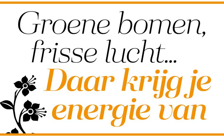 null Beeld 
