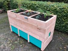 Wormenhotels voor basisscholen Someren