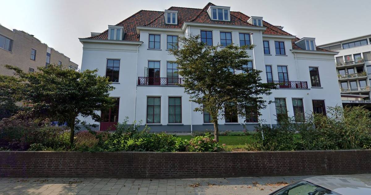 Amerikaanse universiteit (UCLA) opent afdeling in Den Haag Den Haag AD.nl