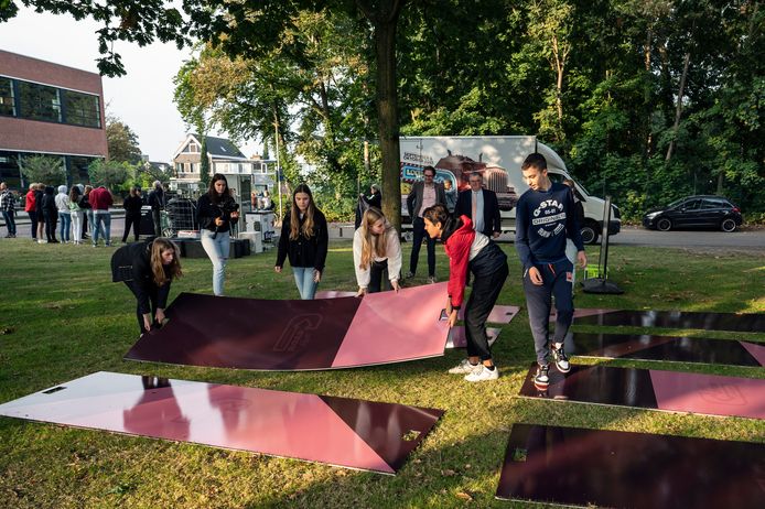 Rijplatenpuzzel.