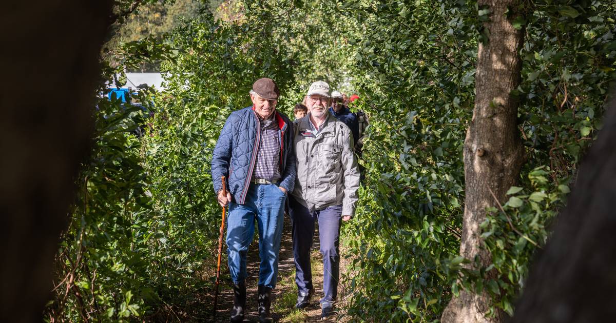 Het draait om noaberschap bij wandelroute op de grens van Nederland en Duitsland - De Stentor