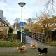 Vriendelijk verzoek aan de buurt: niet knallen in de Korinthestraat