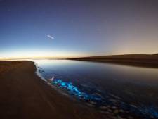 Strandbezoekers vergapen zich aan magische, blauwe gloed in zee