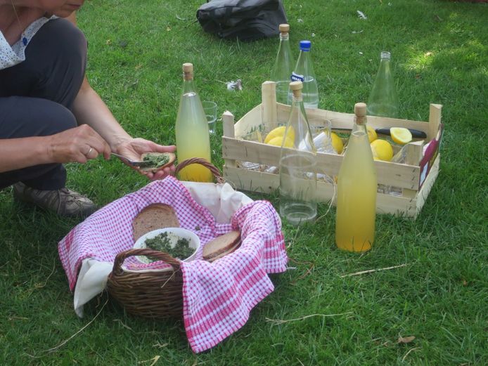 Kruidendrankjes en -pesto's tijdens de kruidenwandeling in het Rivierenhof.