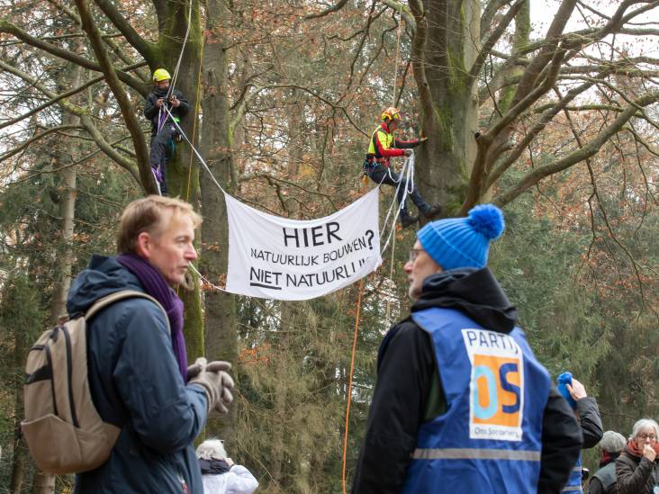 Omzagen van bomen leidt tot sterke emoties, maar het huizentekort ook: welk belang gaat voor?