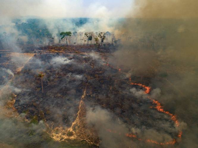Regenwoud in Amazonegebied blijft branden