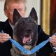 Hond Conan krijgt heldenontvangst bij Trump
