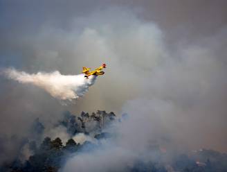 Brandweer bestrijdt bosbranden in noorden van Italië en Sicilië