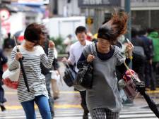Au Japon, des données personnelles perdues... à cause du vent