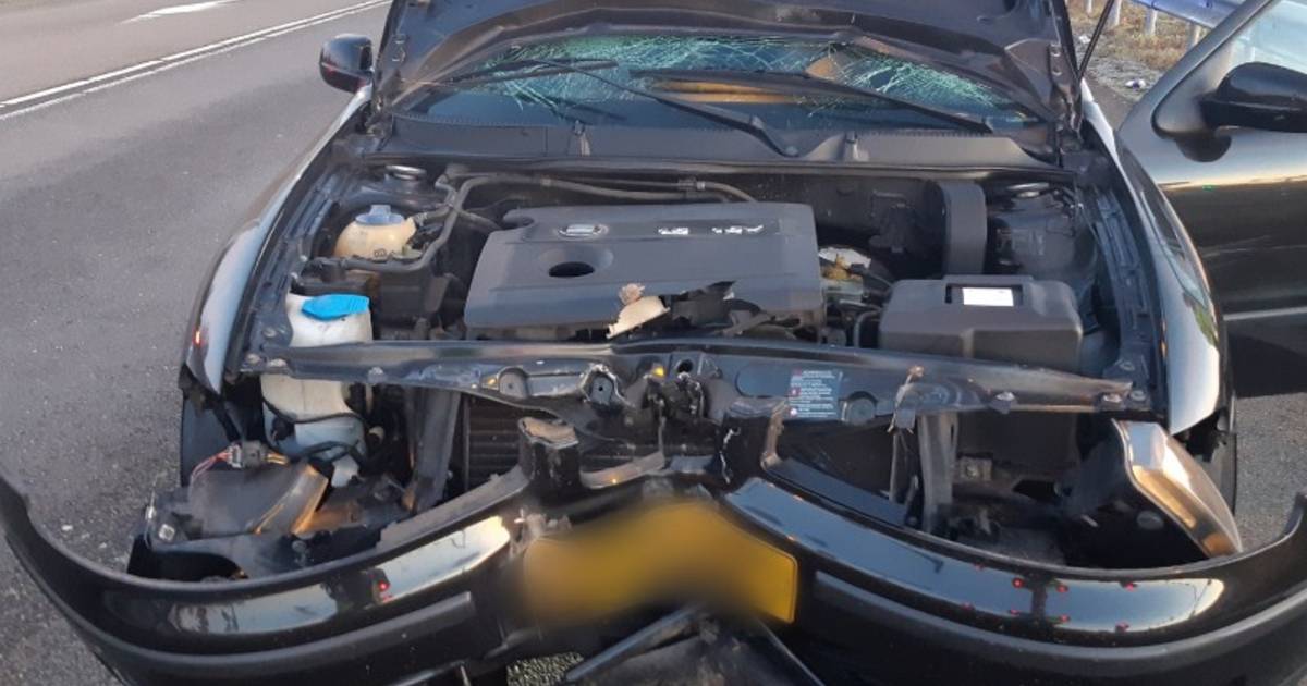 Tilburger rijdt na botsing op A16 door met motorkap op voorruit.