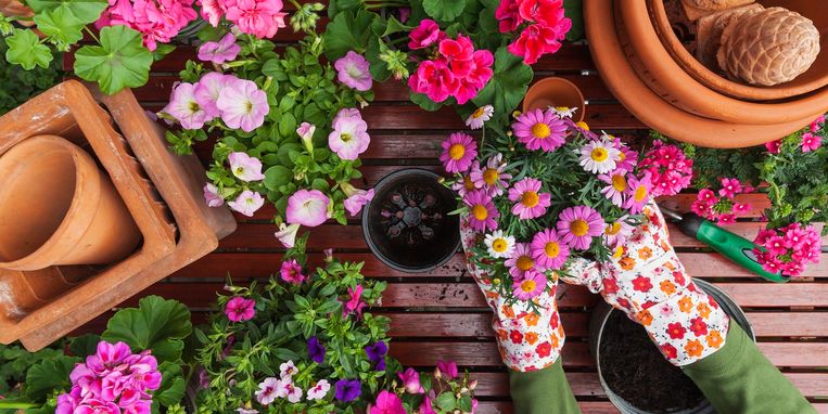 bloemen je balkon of terras in de vroege lente op | Margriet