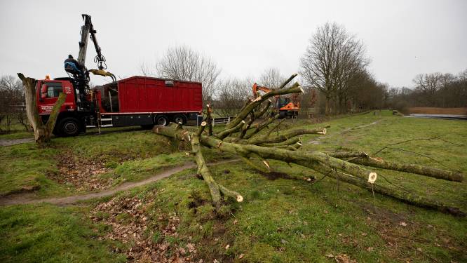 Buurt spant spoedzaak aan tegen nieuwbouw Lorentz Casimir Lyceum: ‘Om gemeente te behoeden voor nog meer fouten’