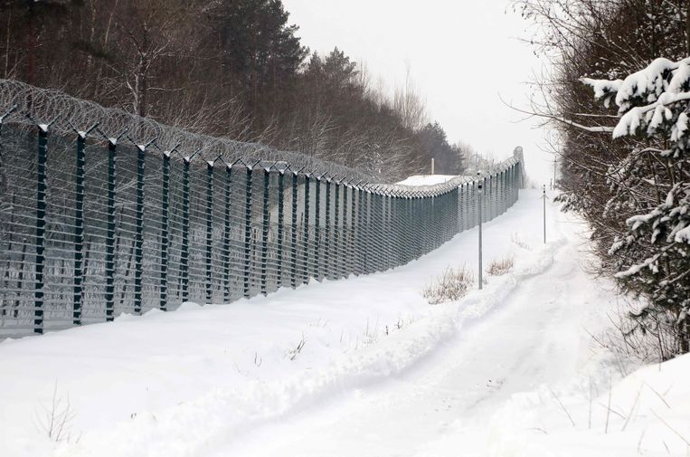 Een vier meter hoog hek op de grens tussen Litouwen en Wit-Rusland. Beeld AFP
